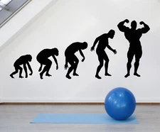 Vinyl Wall Decal Evolution Of Man Gym Bodybuilding Body Muscles Stickeers 1316ig