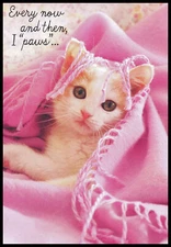 Greeting Card - Cat Kitten - For Friend - Birthday - 0002