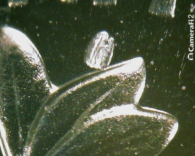 Picture 6 of 15