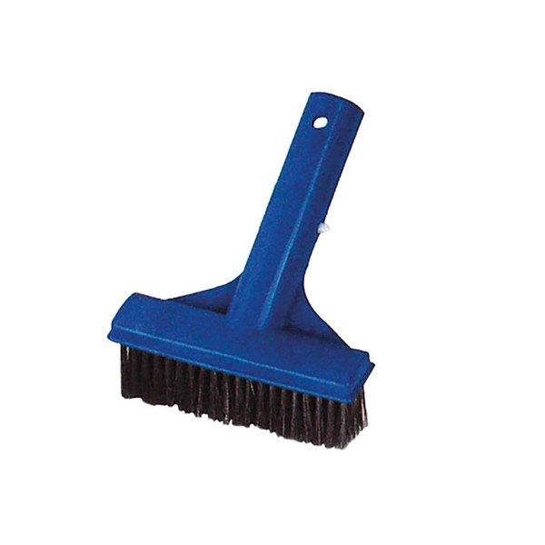 Cepillo con cerdas de acero para limpiar algas de la pared de la piscina. Clip