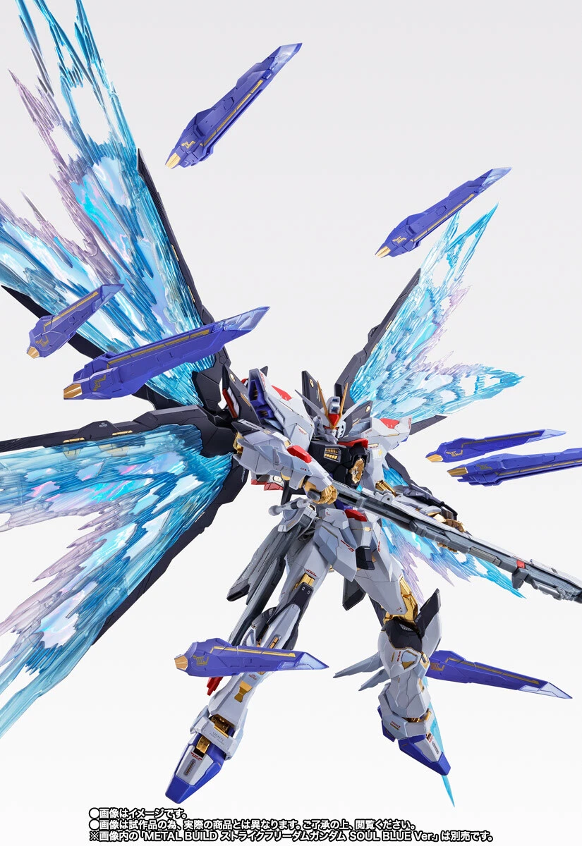 METAL BUILD Strike Freedom Gundam Wing of Light Option Set SOUL 