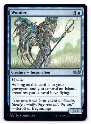 #ad Wonder NM Commander: Tarkir: Dragonstorm 170 MTG Regular Uncommon $2.99