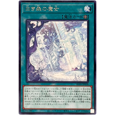 Witches of the White Forest - Rare ALIN-JP058 Alliance