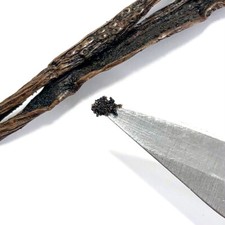 Madagascar Vanilla Beans  Whole Bean, Grade A Pods for Vanilla Extract  Baking