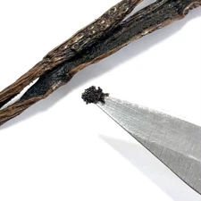 Madagascar Vanilla Beans | Whole Bean, Grade A Pods for Vanilla Extract & Baking