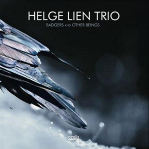 Helge Lien Trio Badgers and Other Beings (Vinyl LP) 12" Album