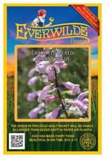 300 Large Flowered Beardtongue Wildflower Seeds - Everwilde Farms Mylar Packet