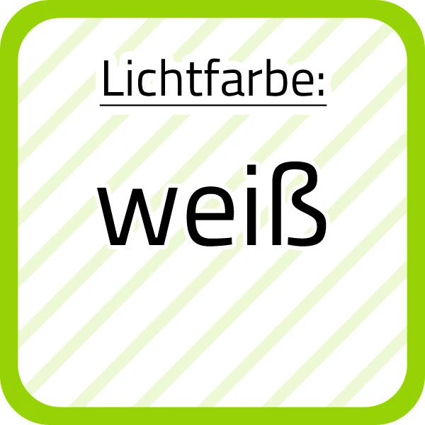 Bild 8 von 12