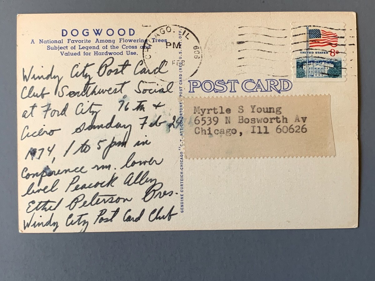 Dogwood Signed Annet Cargill Linen Postcard A2133084016 | eBay