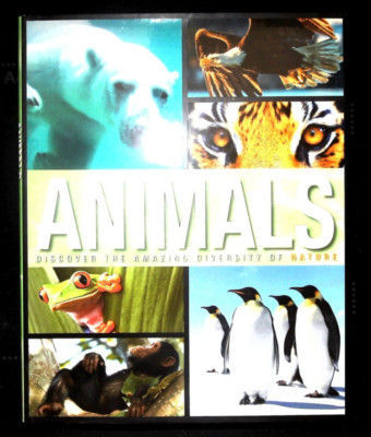 Animals Book for Children - Discover amazing Diversity of Nature - Amazing Facts
