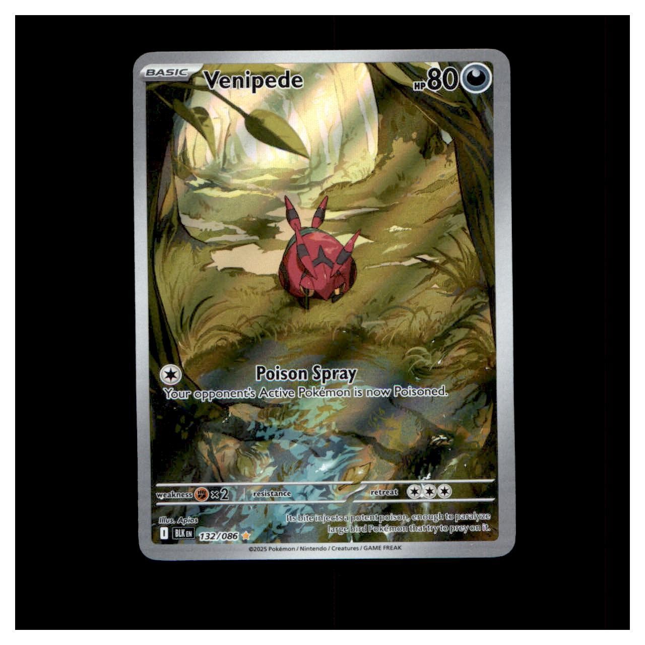 2025 Black Bolt Venipede 132/086 Holo Illustration Rare