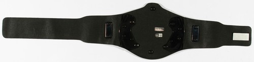 Stone Cold Steve Austin Signed WWE Champion Winged Eagle Toy Title Belt BAS COA - Picture 4 of 24