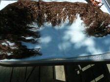 Human Hair - Brunette or Auburn, 12" Wavy. NWT. 60.00 each or 2 for 100.00. 