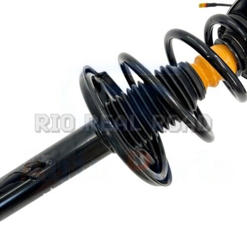 Front Shock Struts Assy w/PASM For Porsche 911 997 Carrera Targa
