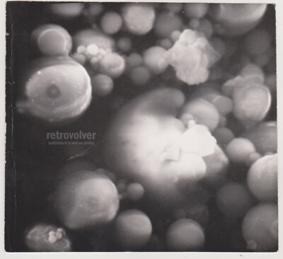 Abstract Macro Experimental Unusual Artistic Shapes in Close-Up Surreal Photo