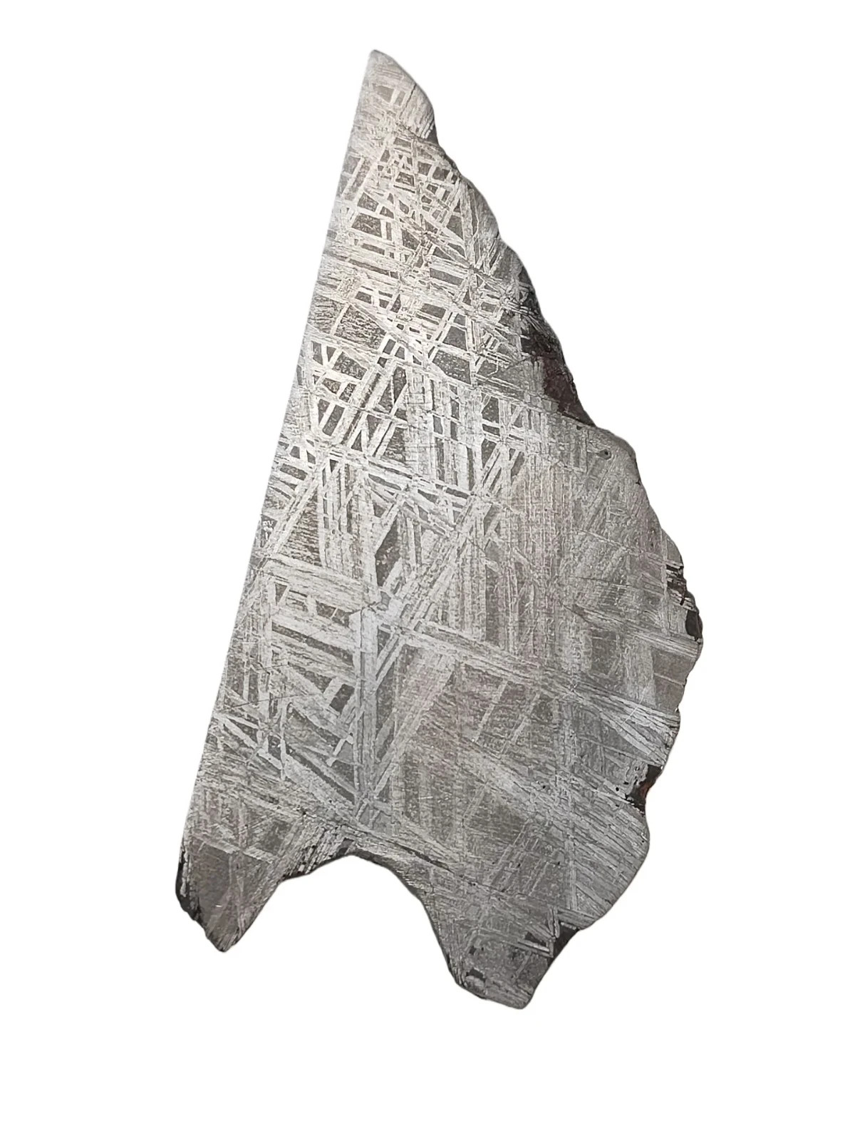 Rebanada de meteorito de hierro gibón de 118,6 g coleccionable y procesable - TC672