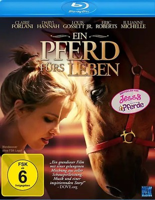 Ein Pferd fürs Leben