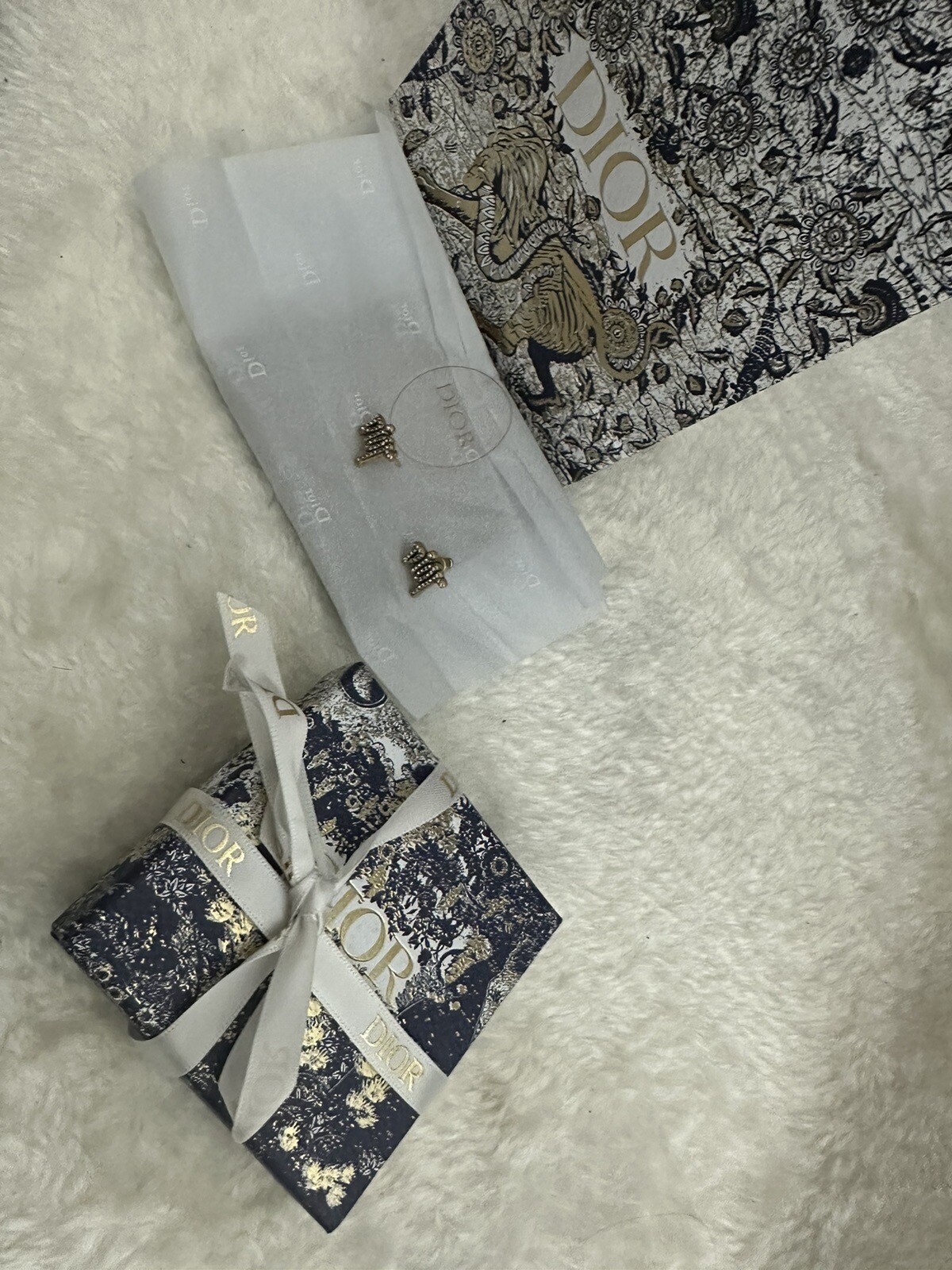 Christian Dior earrings eBay