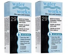 Water Works Permanent Powder Hair Color 29 Fire Red 2 Pack 
