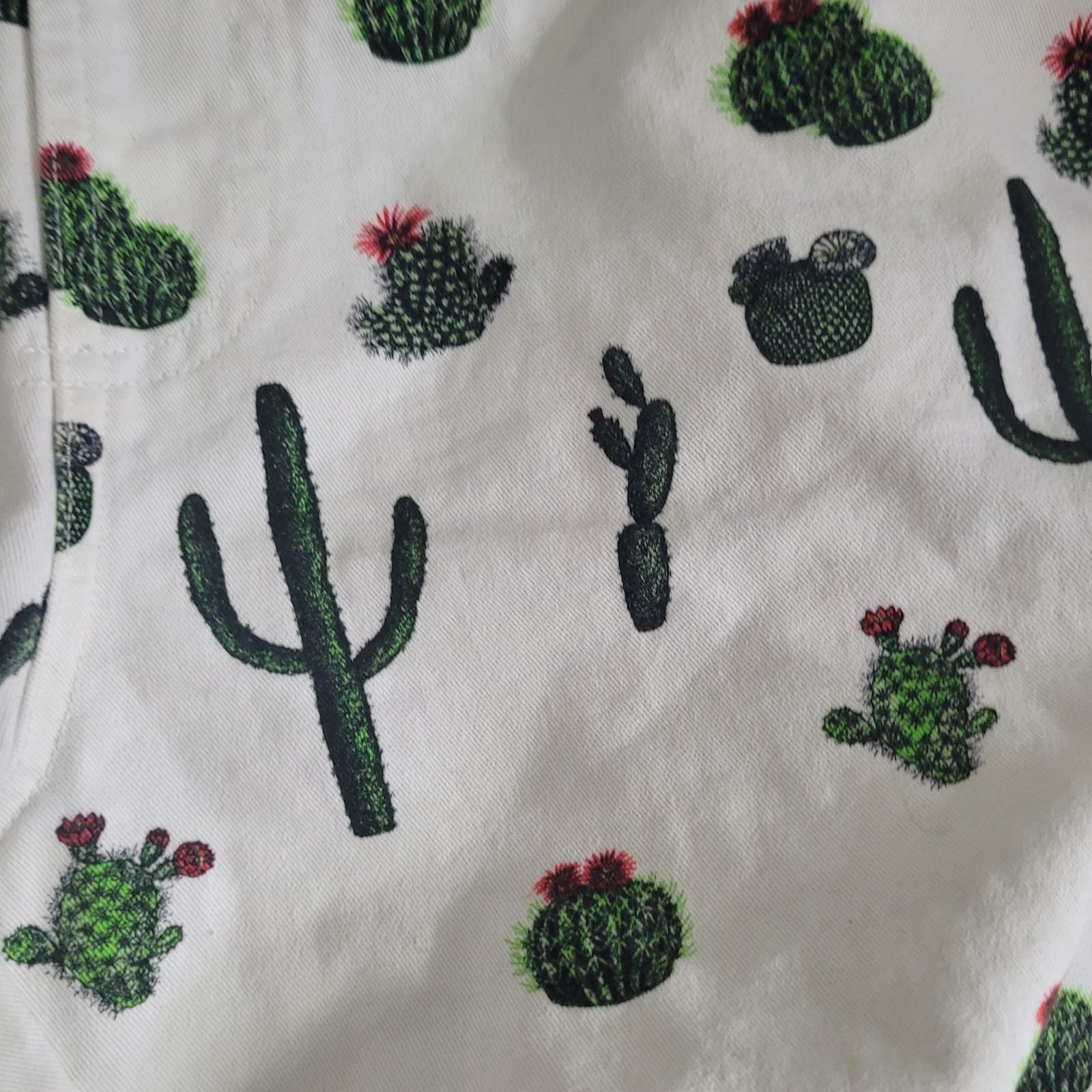 Zipcode Small Shorts Cactus graphic print Drawstr… - image 5