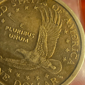 2000-P Native American Sacagawea $1 Dollar Coin LIBERTY IN GOD WE TRUST