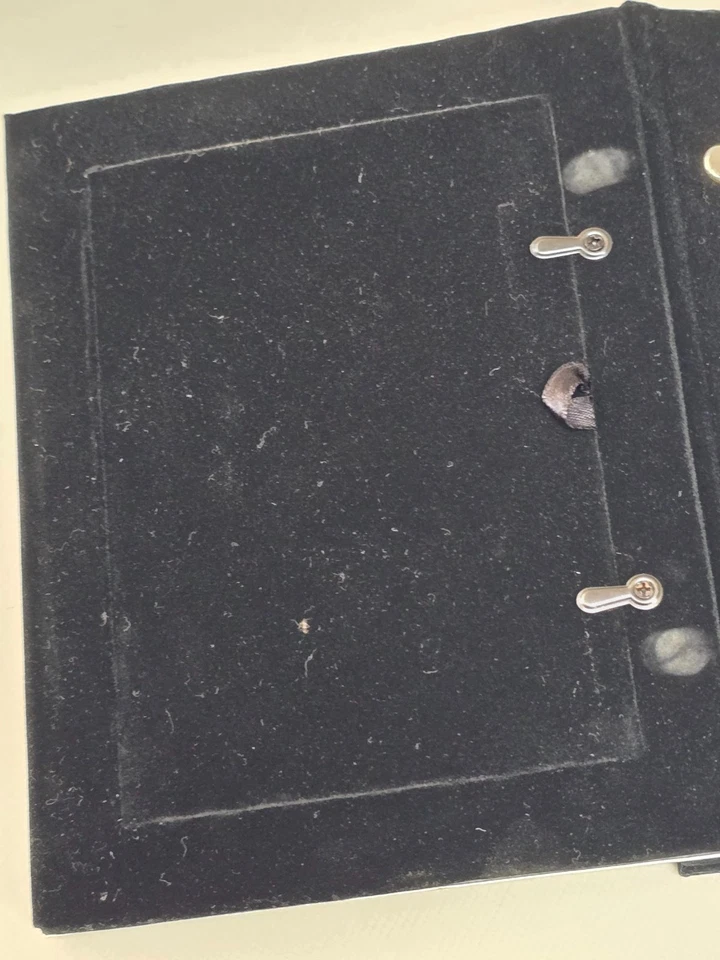 银色金属相册带天鹅绒背衬和塑料袖适用于 4x6 图片 — 第 4/4 张图片