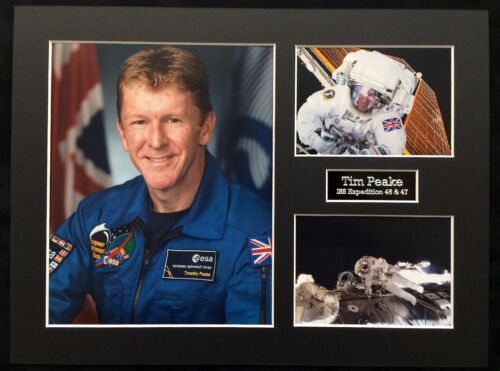 SPACE Tim PEAKE 16 x 12 Montage P, British ESA Astronaut ISS EXPLORATION 46/47 - Picture 1 of 1