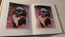 Marcel Duchamp – Etant donnes (Philade..., Torok, Elena