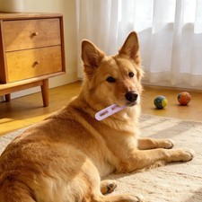 Dog Chew Toy Bite and Brush Dog Chew Toy Puppy Chew Toy w/Bristles