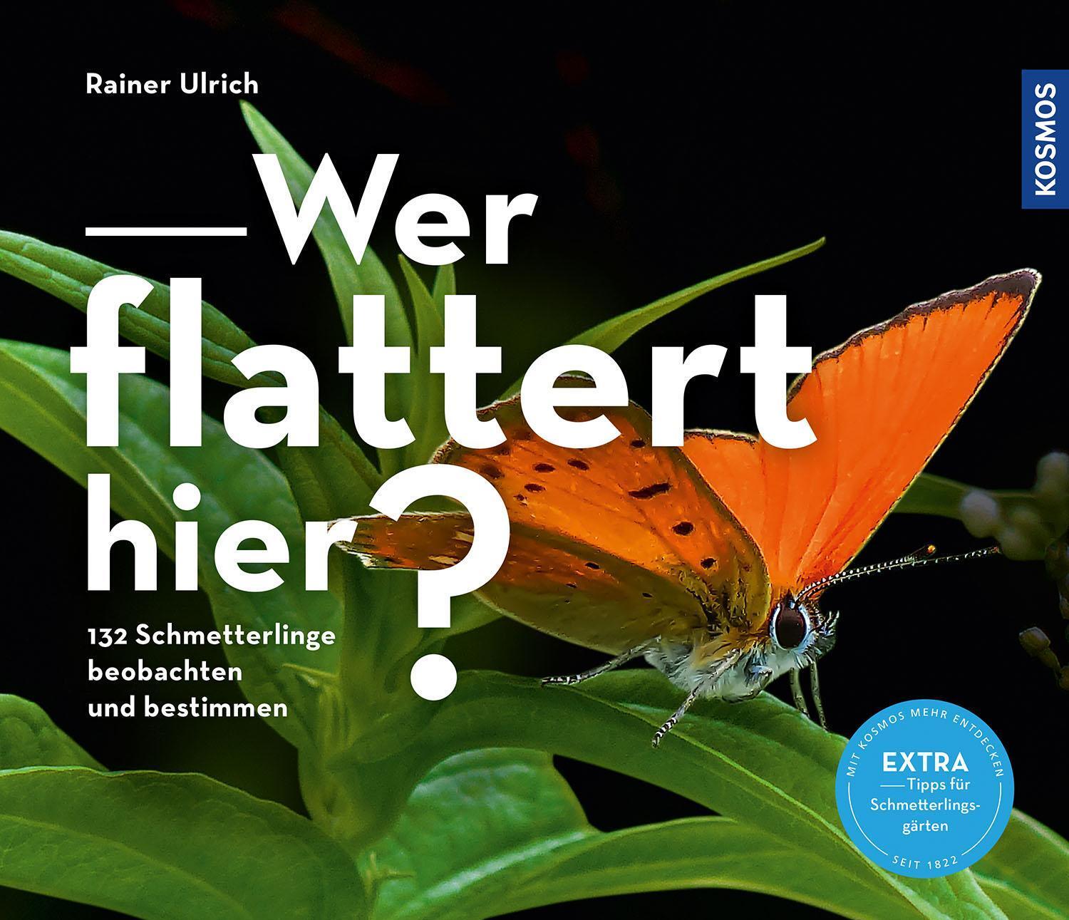 Thumbnail - Wer Flattert Hier Rainer Ulrich