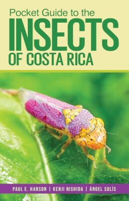 Pocket Guide to the Insects of Costa Rica by Kenji Nishida, Angel Solis, Paul...