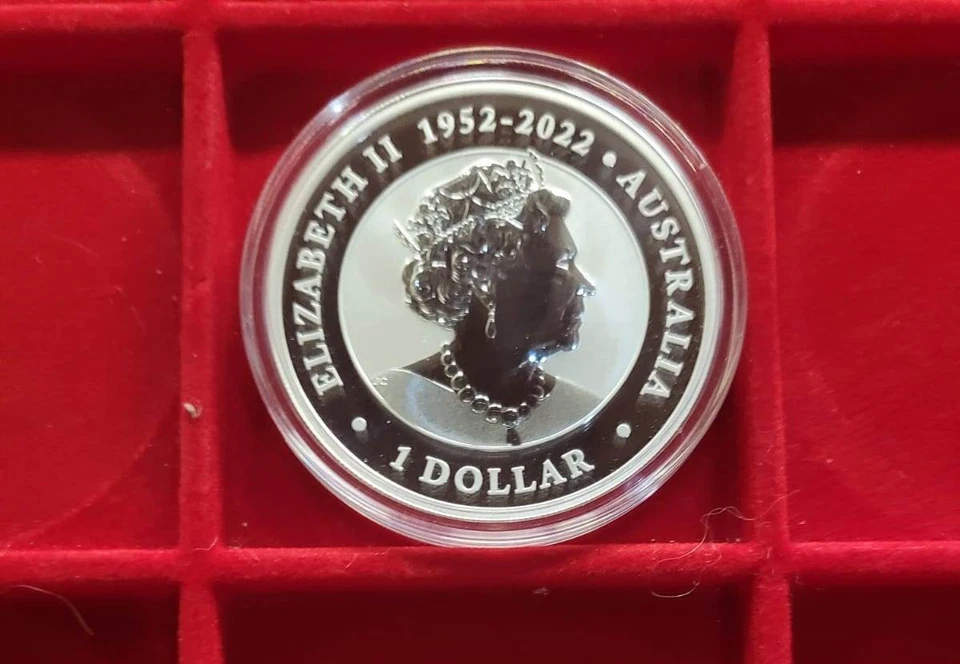 2023 PERTH MINT AUSTRALIAN WOMBAT  1 oz moneta argento silver 9999  FDC UNC - Immagine 2 di 2