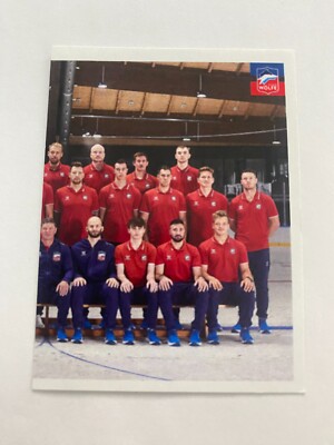 Team #361 Sticker DEL2 Selber Wölfe Saison 22/23