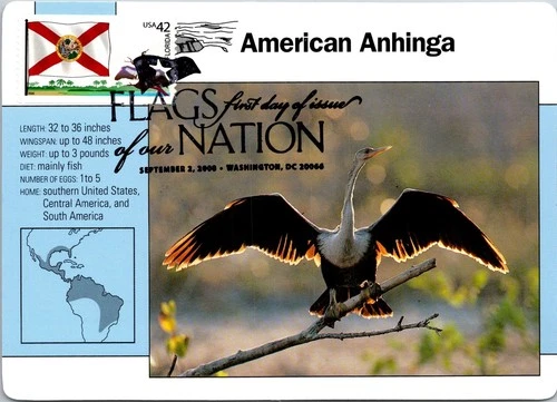 Dr Jim Stamps Maximum Card Florida State 42C Flags Of Our Nation Fdc