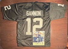 Oakland Raiders Collecting and Fan Guide 76