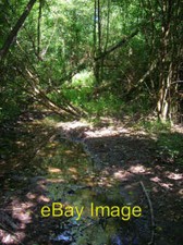 Photo 6x4 Iron Gill Crabtree/TQ2225 Small stream making its way through  c2008