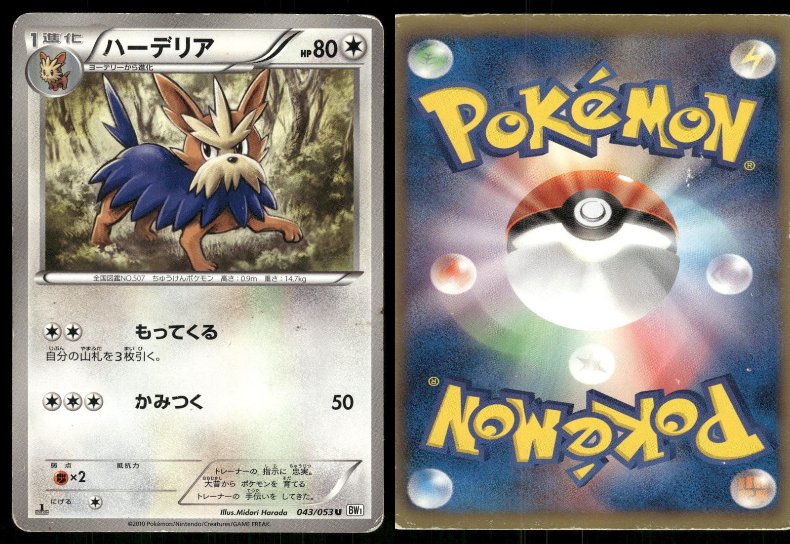 Herdier 043 HEAVILY PLAYED White Collection 053 Pokemon Japanese 1st Edition