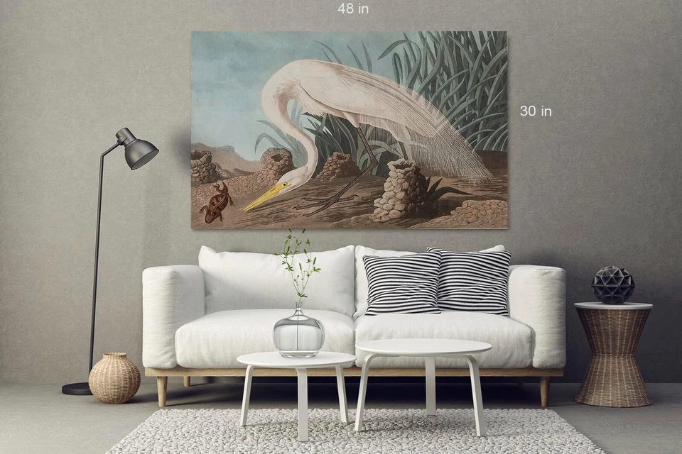 Arte de pared con impresión en lienzo de pájaro garza blanca John James Audubon Foto 3 de 4