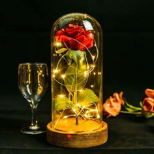 Eternal Rose Forever Flower In Glass Dome LED Light Lamp Valentine Gift for Girl