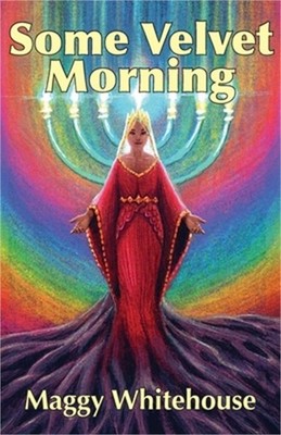 Some Velvet Morning: Another Tale Of The Blue Panda (Paperback or Softback)