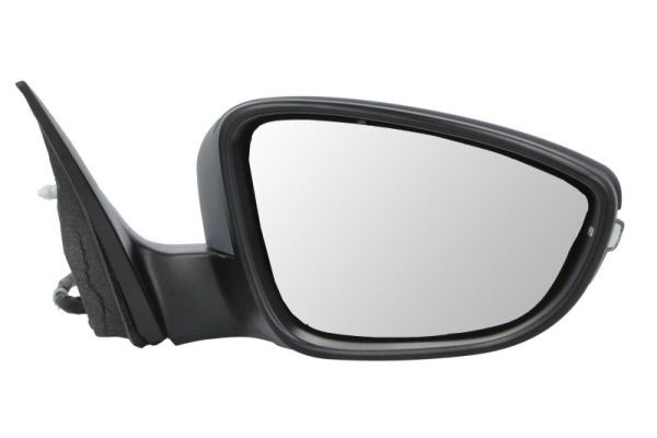 Right BLIC 5402-01-2002694P Exterior Mirror for VW