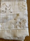 Foto 2 di 8