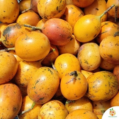 25+ Konyal Sweet Passion Fruit Seedss (Passiflora ligularis)  for Plantingg