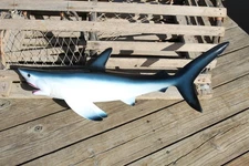 (1) Large Great White Shark Replica 28 inch, Realistic Lifelike Details Display