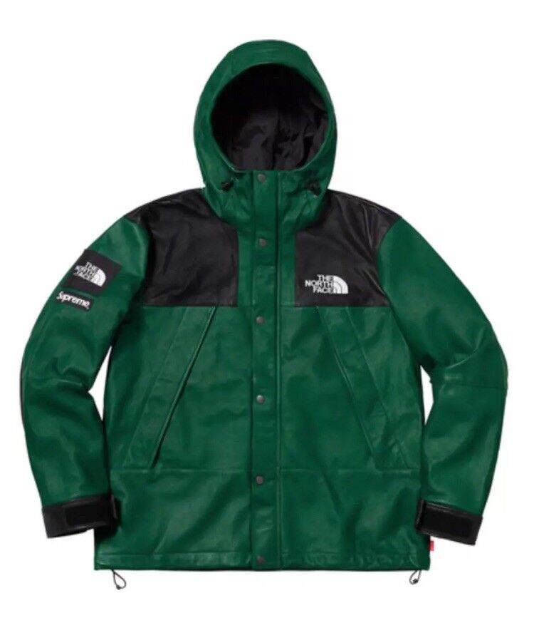 Supreme The North Face Leather Mountain Parka lamb Jacket DARK GREEN FW18  MEDIUM