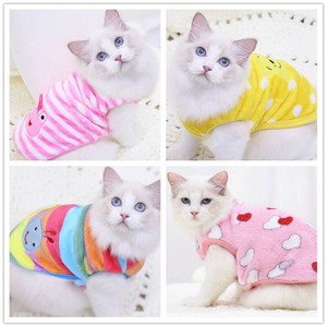 kitten clothes online