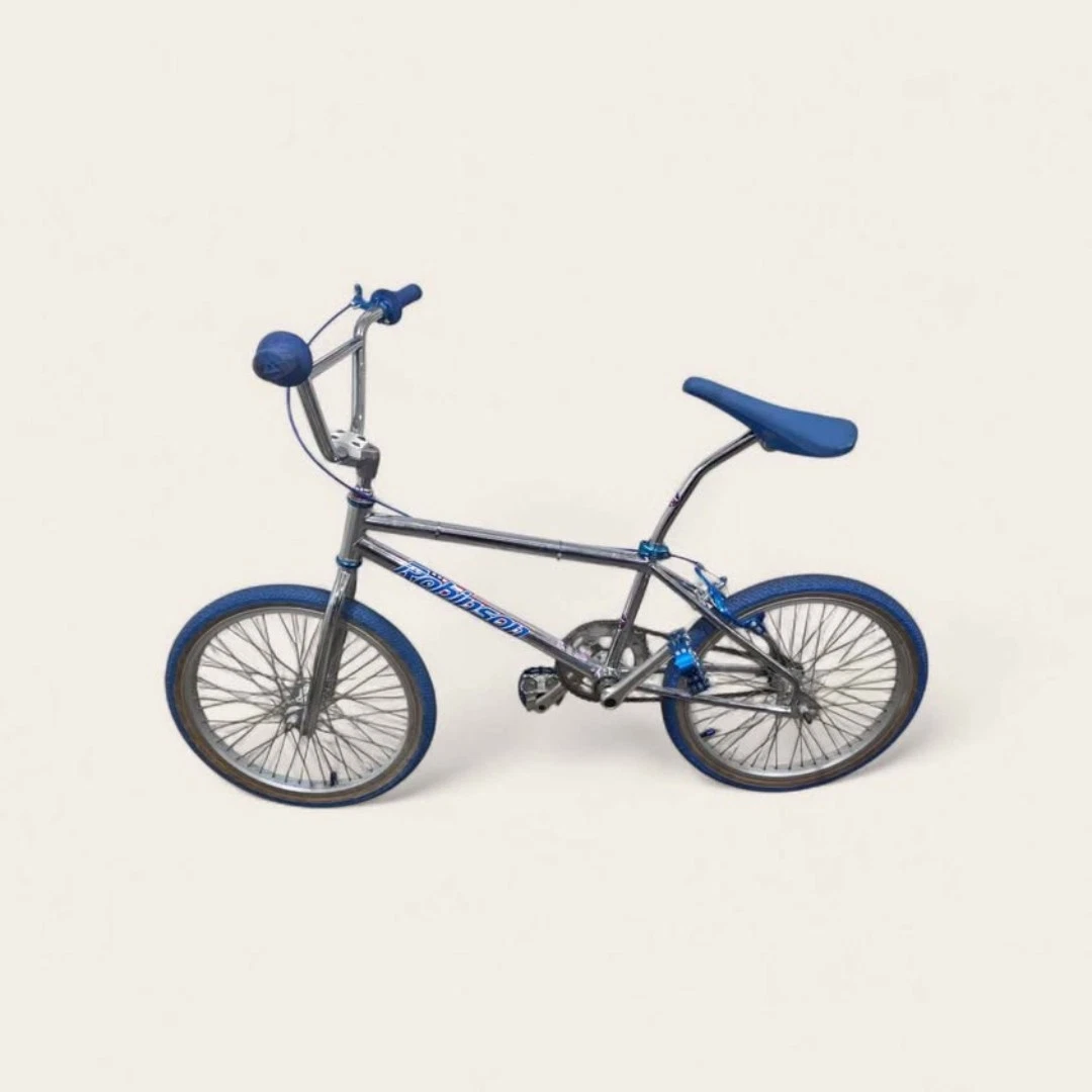 Vintage Robinson SST BMX Bike 1990s Old School Freestyle Survivor
