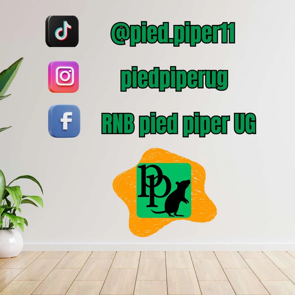 Fenice in oro cartone animato adesivo per auto 9 x 9 cm adesivo decorazione l... - Immagine 4 di 4