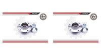 Esen SKV 2X Radnabe Radlagersatz Hinterachse FüR Alfa Romeo Giulietta 940 940