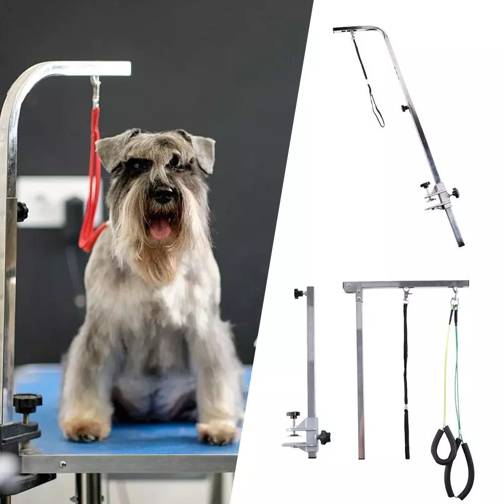Groomers helper noose 2025